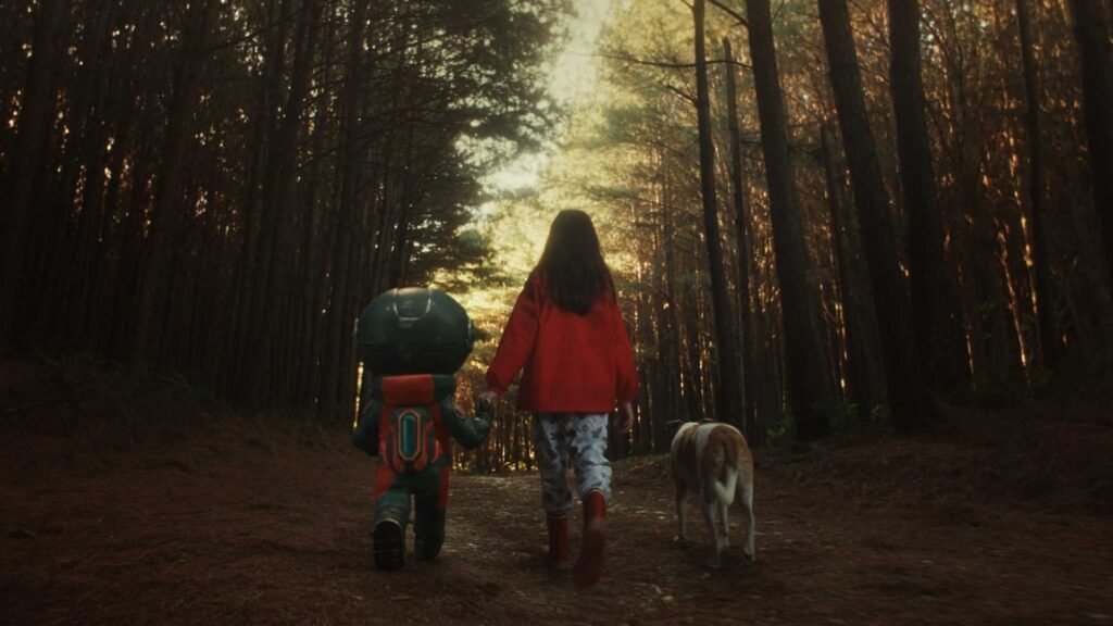 Poster do filme 'A Busca'