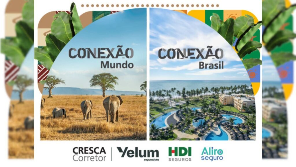 Conexão Mundo e Brasil