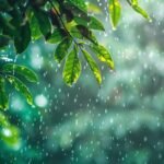 FGV e IRB(Re) firmam parceria para ampliar pesquisas em seguros e riscos climáticos